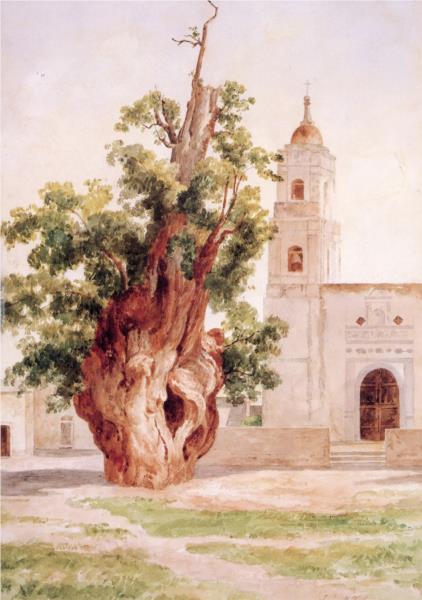 Árbol De La Noche Triste - 1910