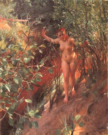 Sable rouge - 1903