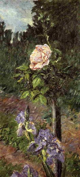 Rosa med Purple Iris - Petit Gennevilliers Garden - 1892