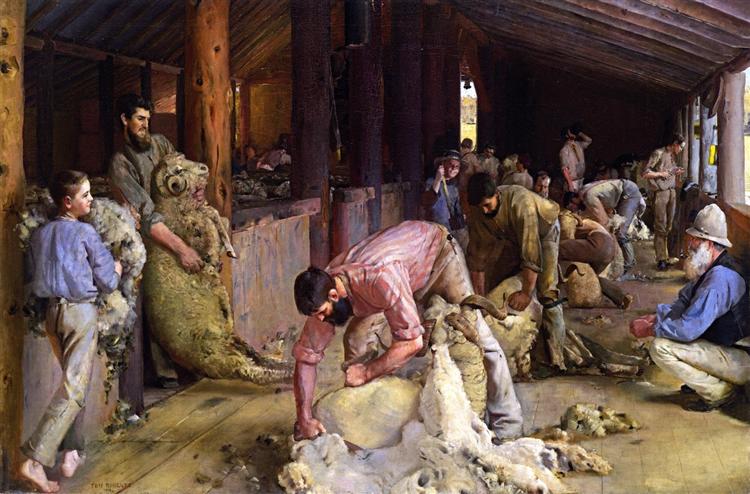 Shearing rams - 1890,