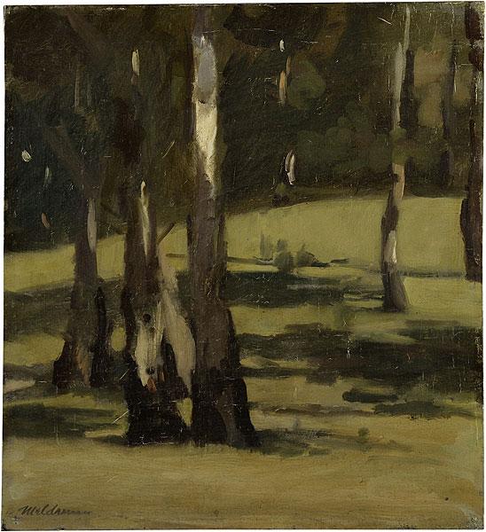 Ombre - paesaggio con alberi - 1925