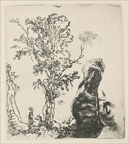 Sketch of a tree - 1638