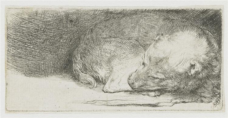 Cachorro Durmiendo - 1640