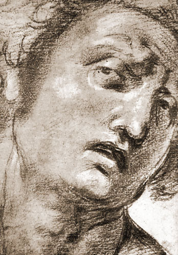 Study for the Head - 1507