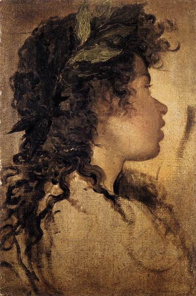 Study for the Head of Apollo - 1630