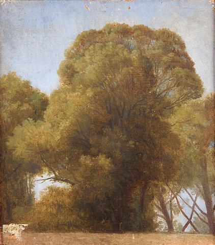 Studio sugli alberi - 1849