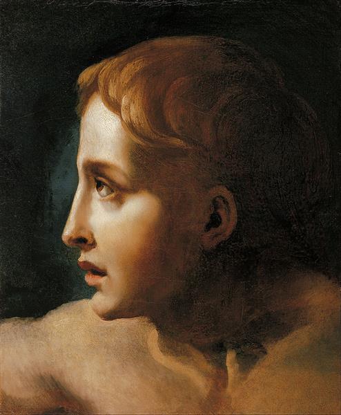 Head of Young - 1824