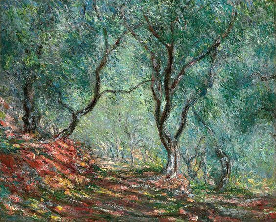 O Bosque de Oliveiras no Jardim Moreno - 1884