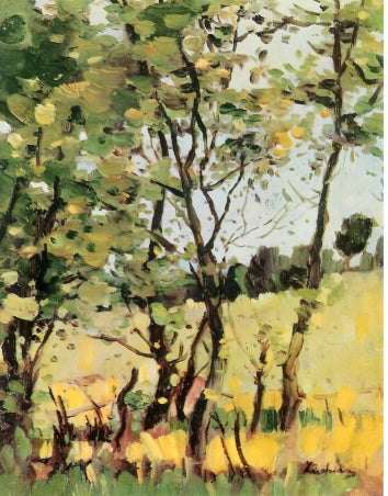 La Pradera del Río à Poduri - 1909