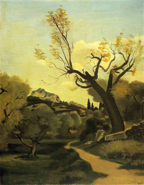 La strada e l'albero.