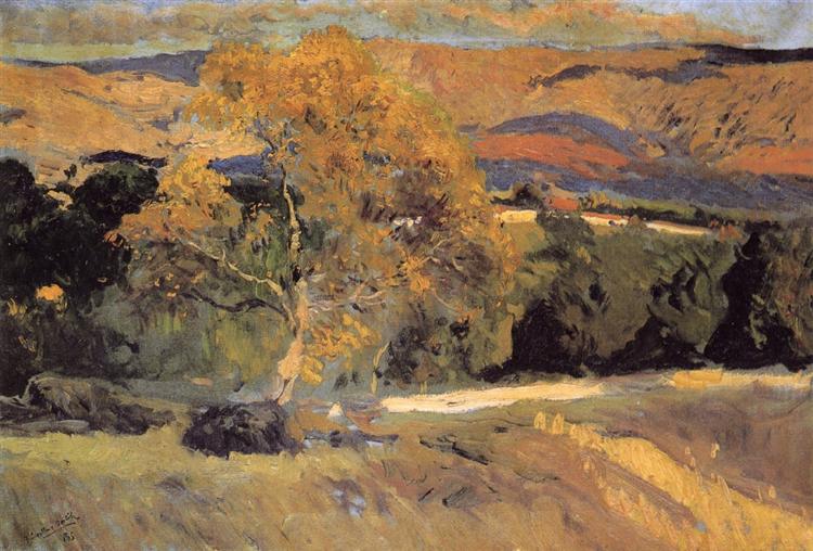 The Yellow Tree - La Granja - 1906