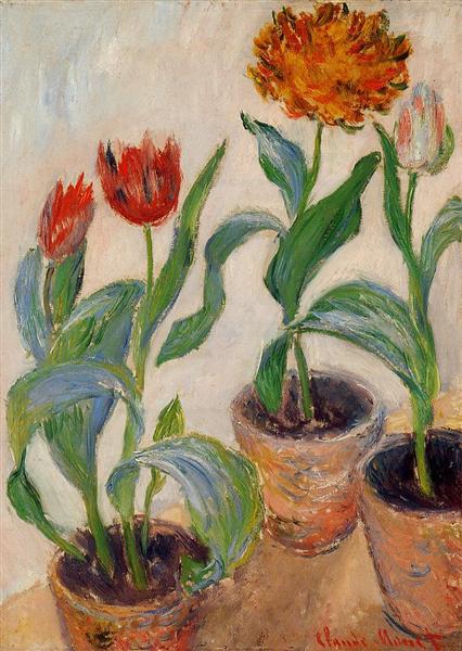 Trois pots de tulipanes - 1883