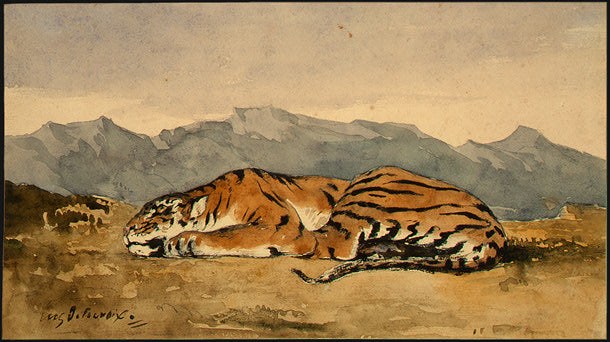 Tigre - 1830