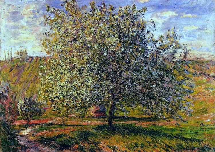 Arbre à fleurs près de Vetheuil - 1879