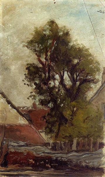 Albero nel patio de la Granja - 1874