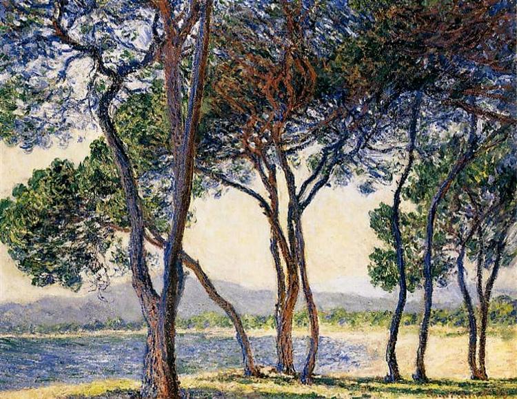 Trees on the seashore in Antibes - 1888