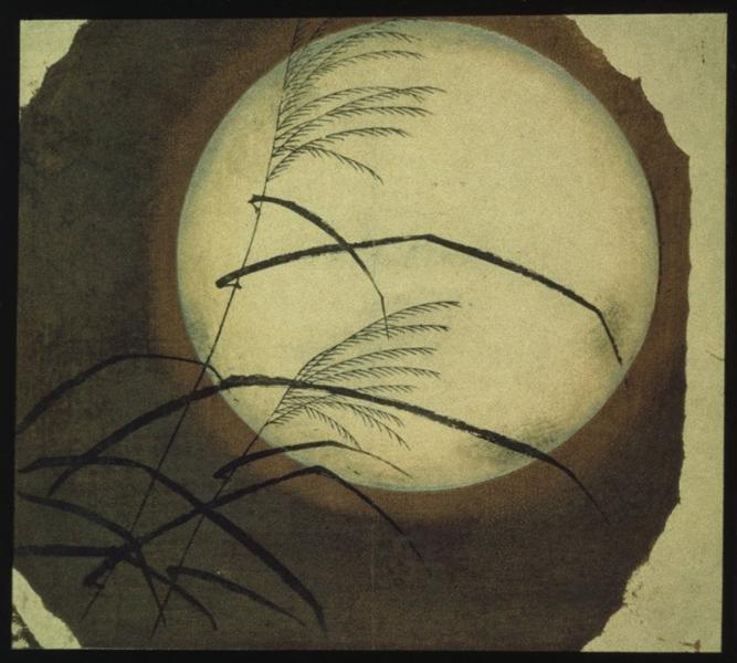 Grass Blown By The Wind Through The Moon 