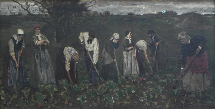 Trabajadores En El Campo De Remolacha - 1876