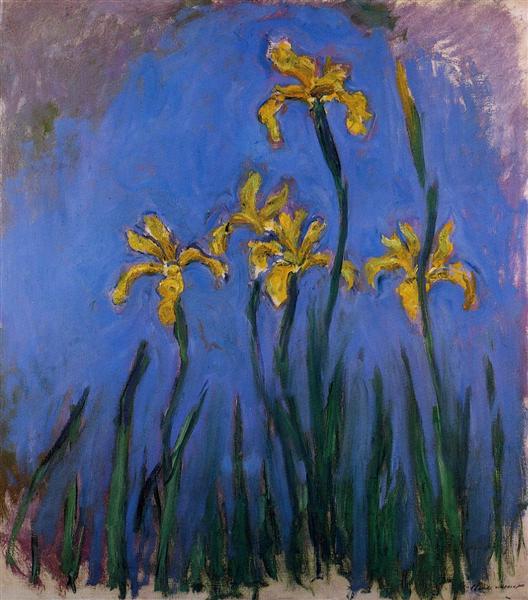 Iris jaune - 1917