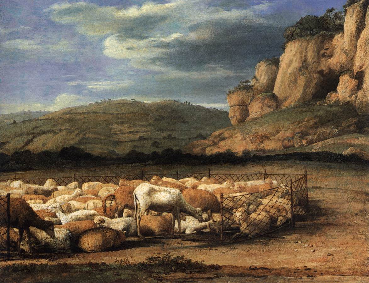 Floquer de ovejas dans la campagne