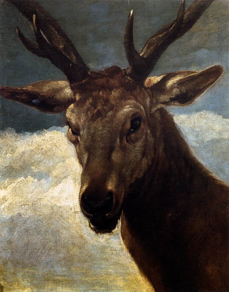 head of a deer