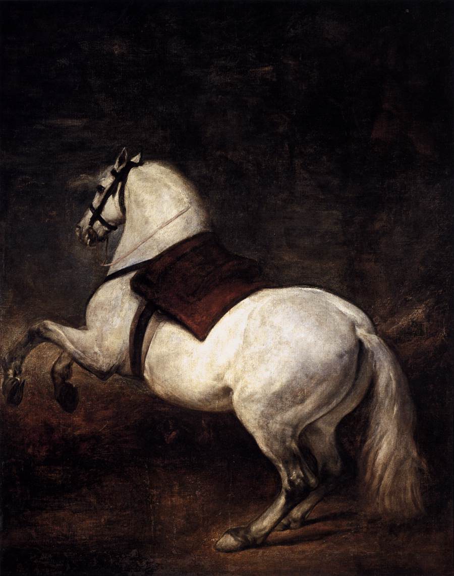 a white horse