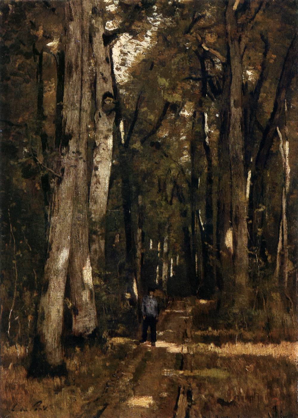 Nella foresta di Fontainebleau