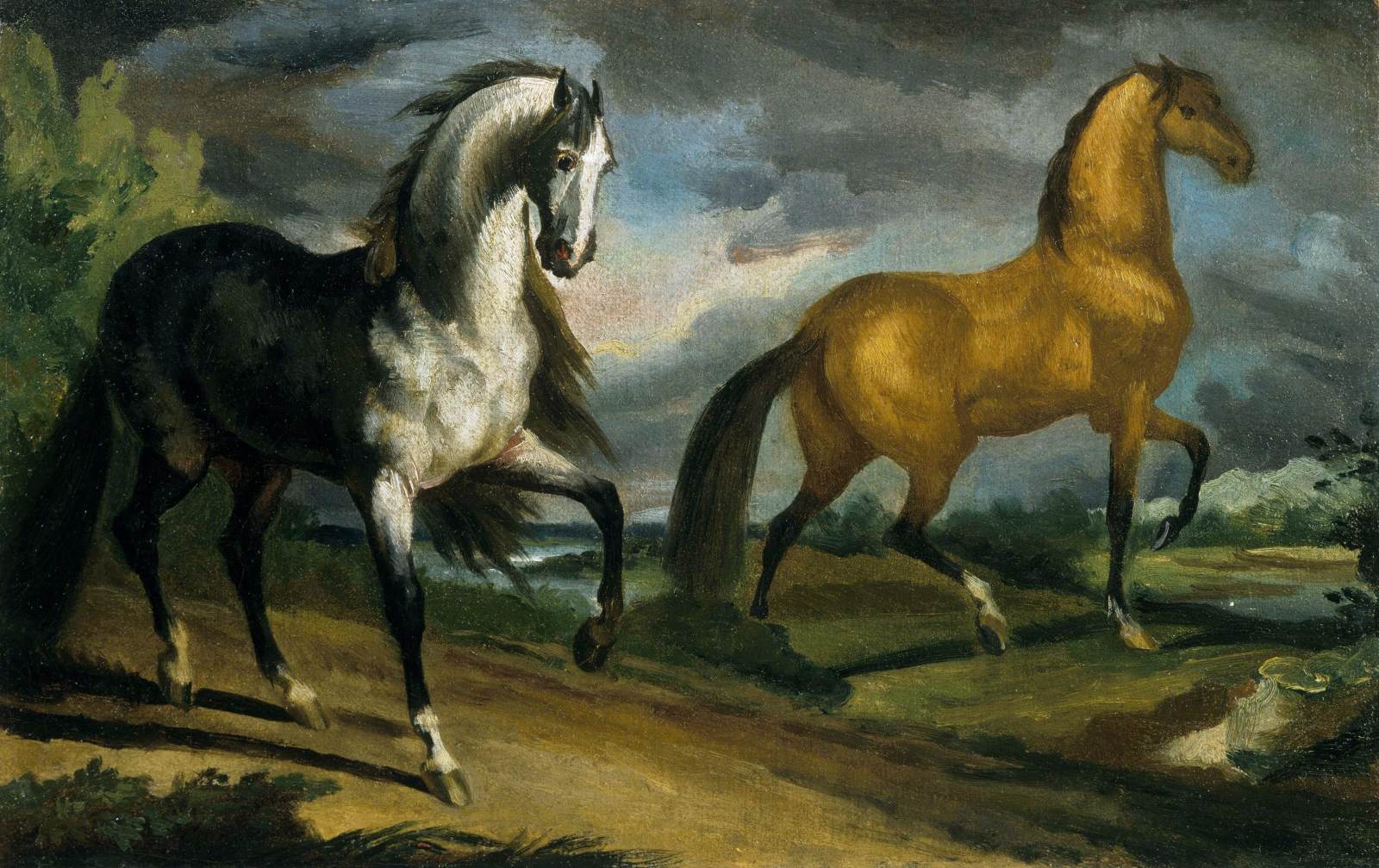 Due cavalli