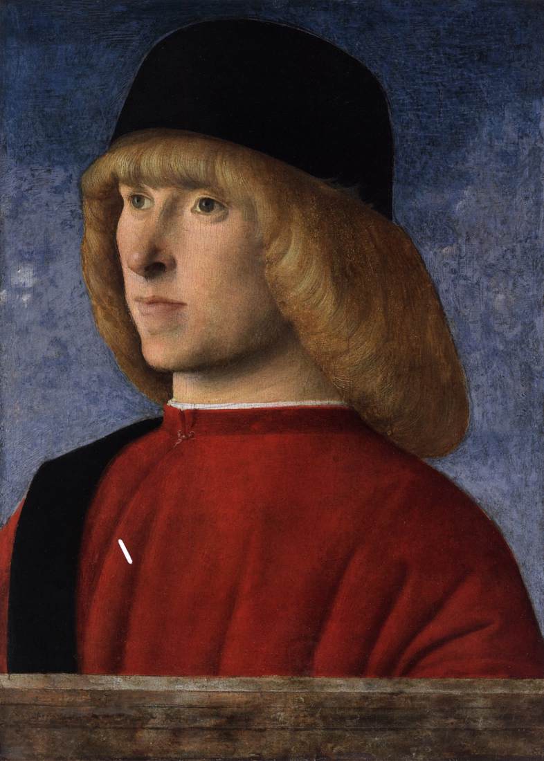 Portrait of a Young Man in Senator's Garb