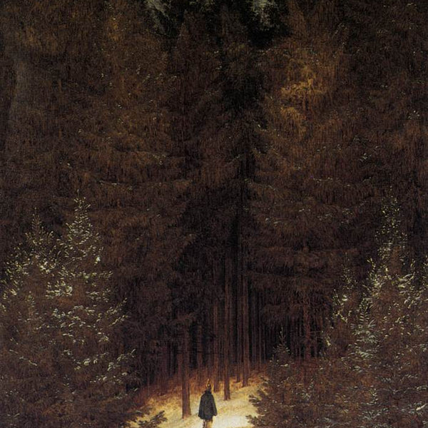 The Pursuer in the Forest