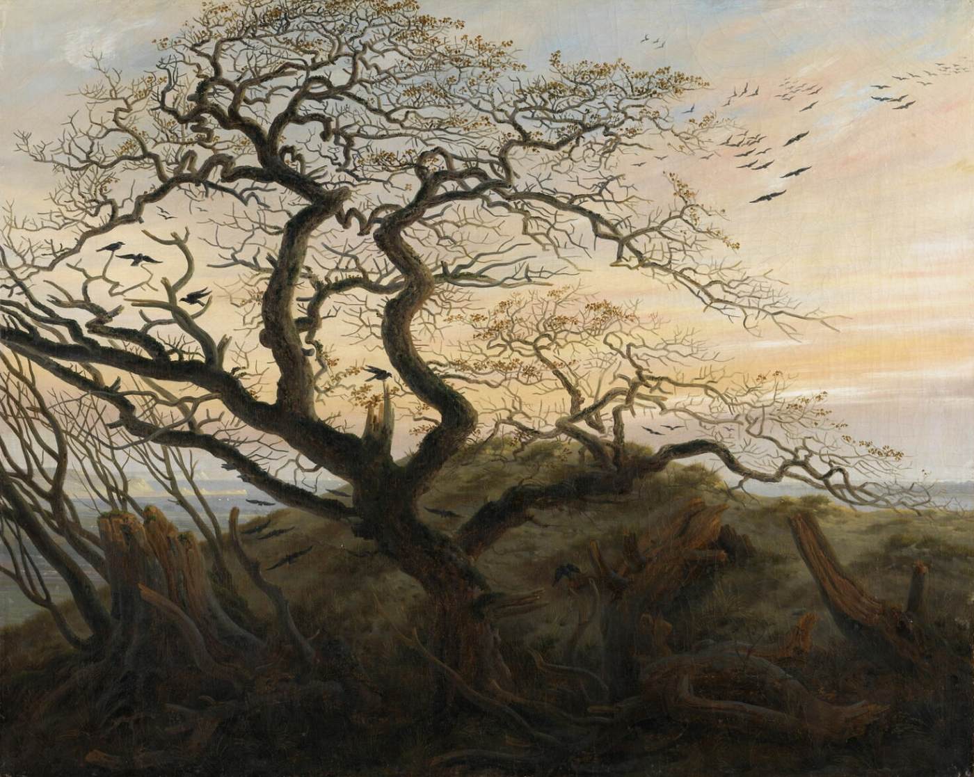 L'arbre des corbeaux