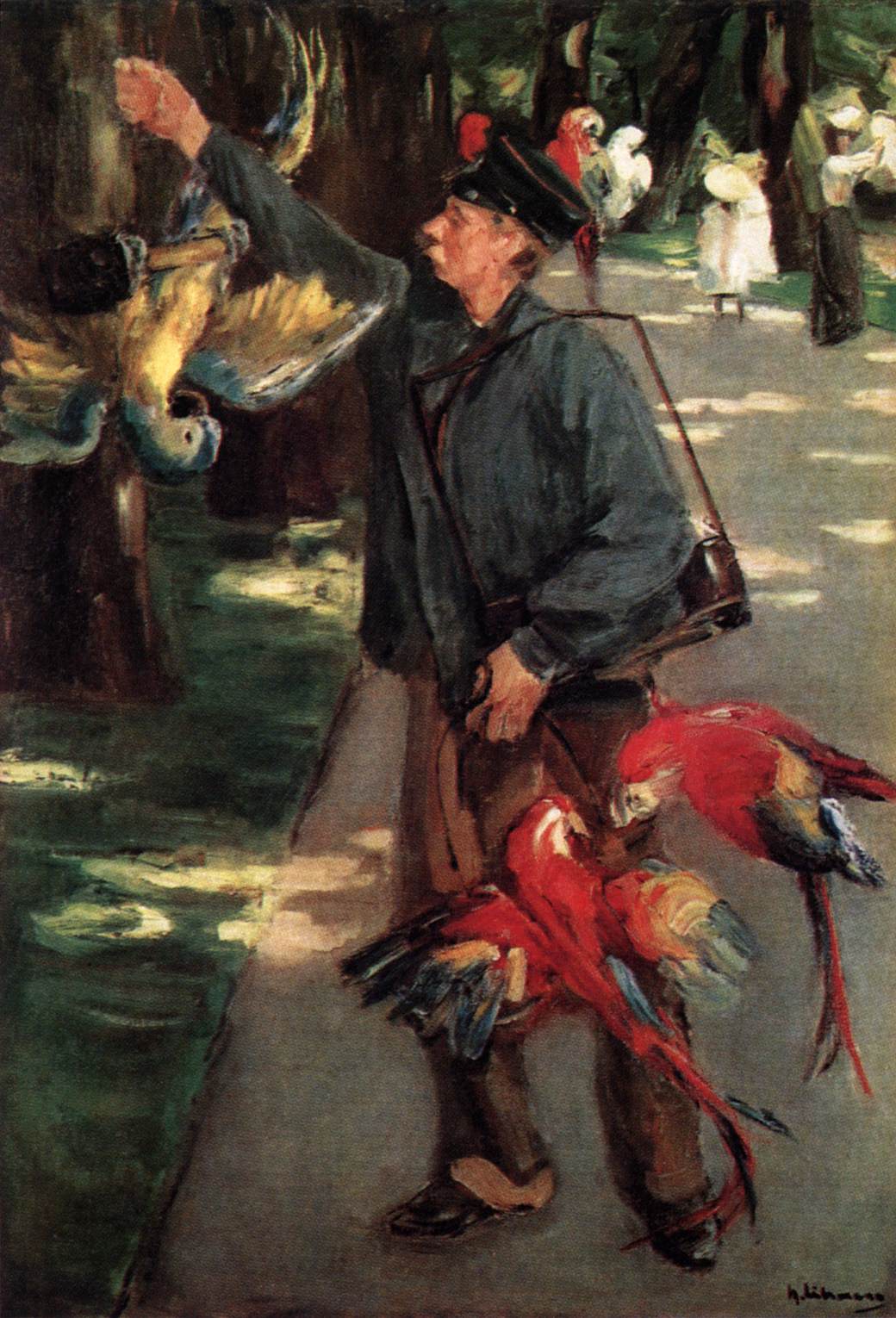 man with parrots