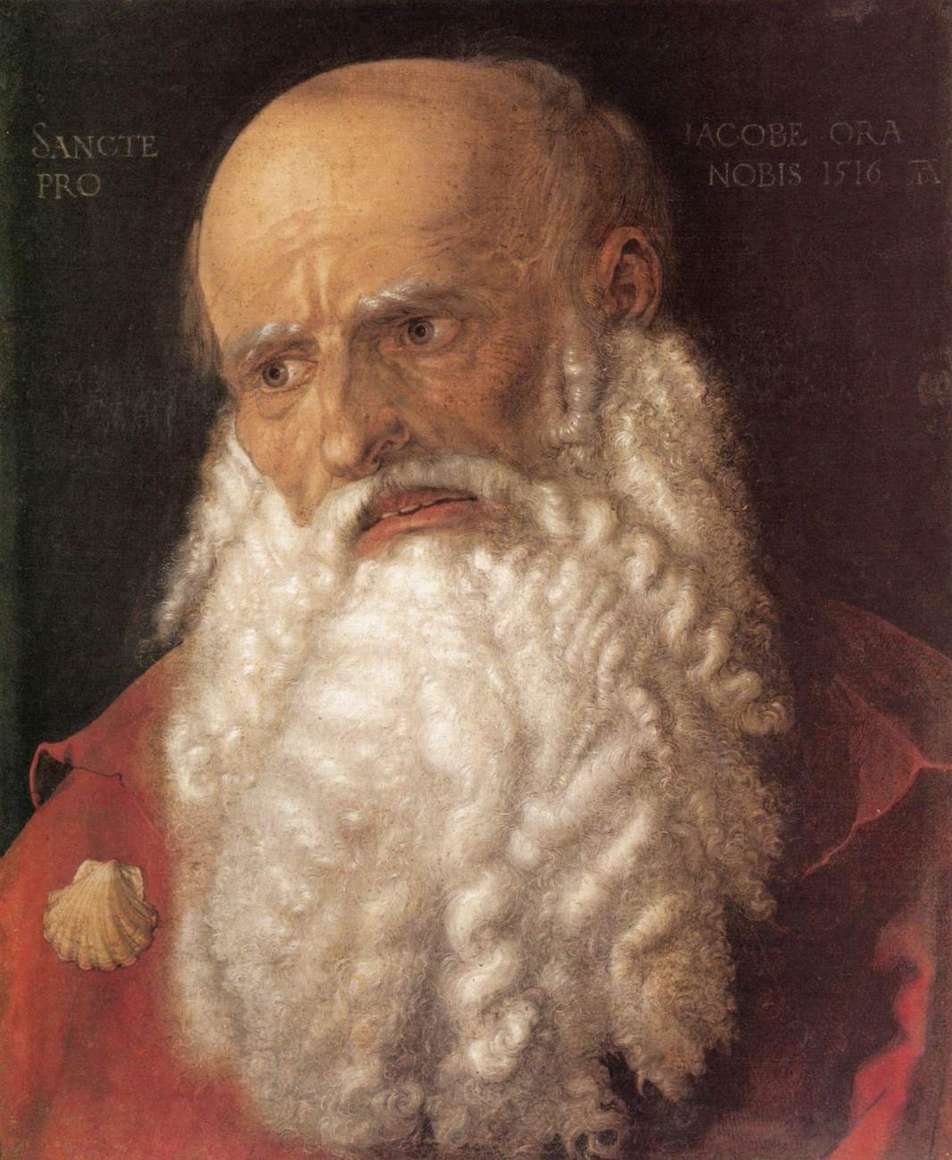 L'apostolo Santiago il Elder