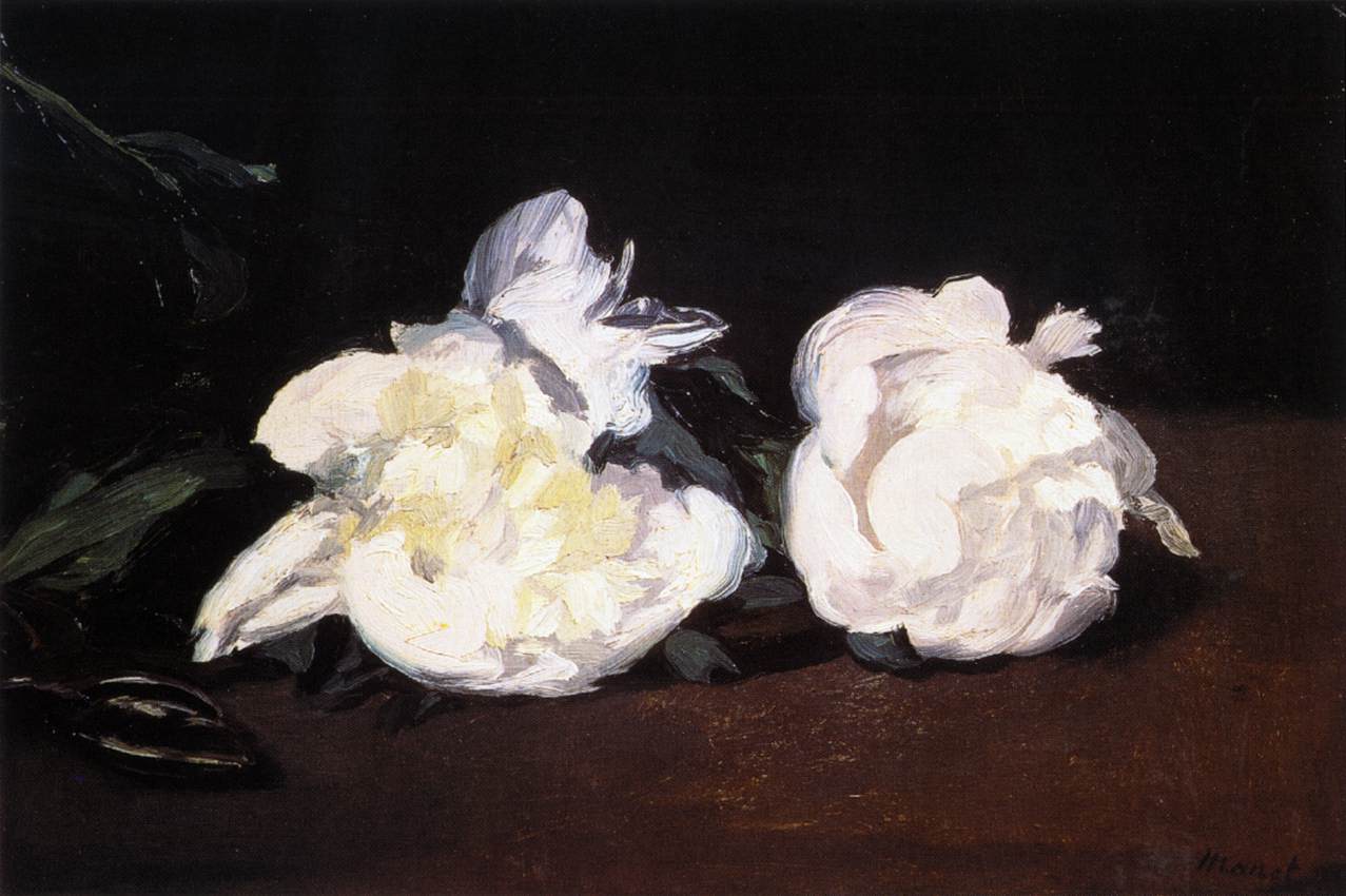 Branch of White Peonies and Dried