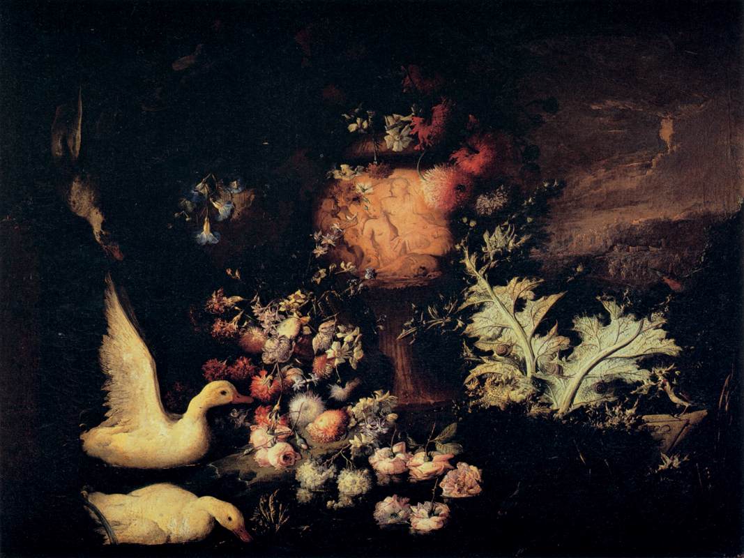 Flores y Patos