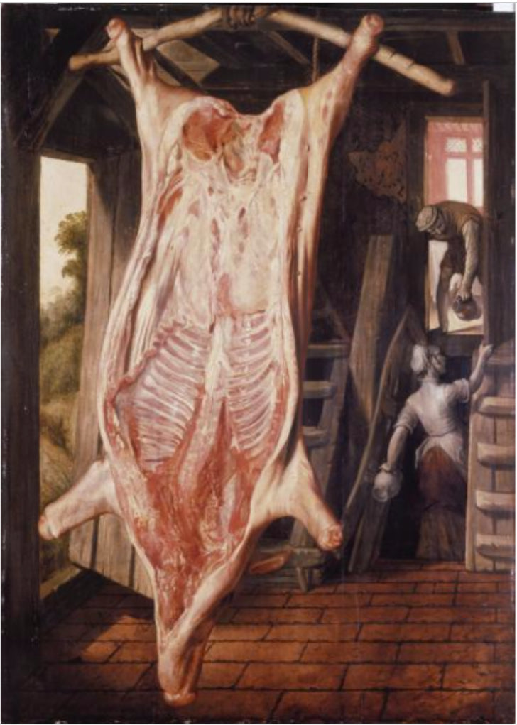slaughtered pig