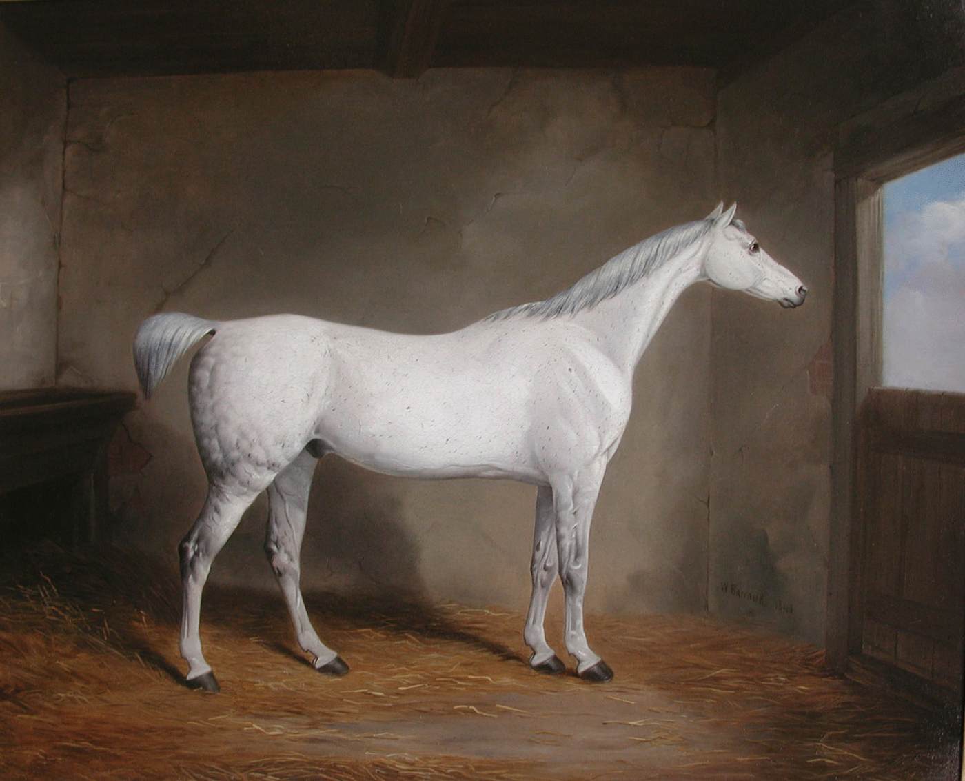 A Gray in a Stable