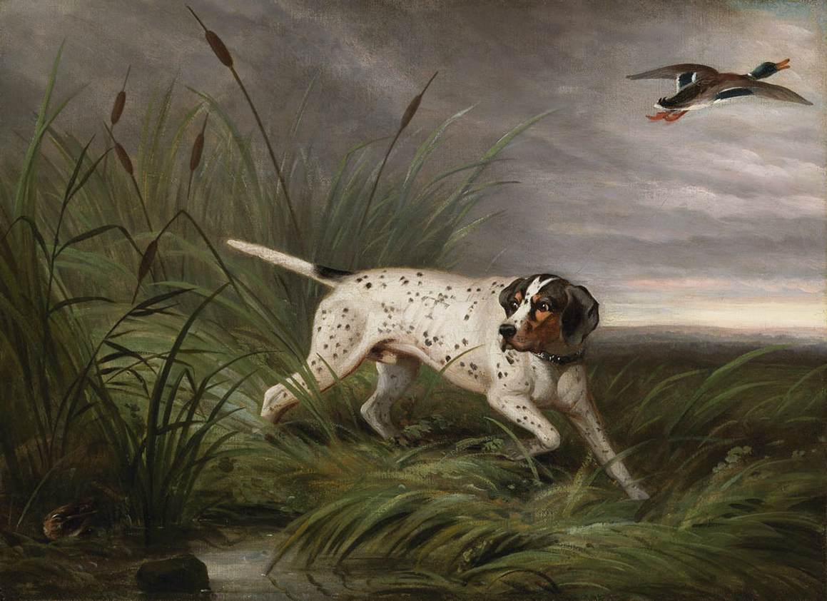 a pointer