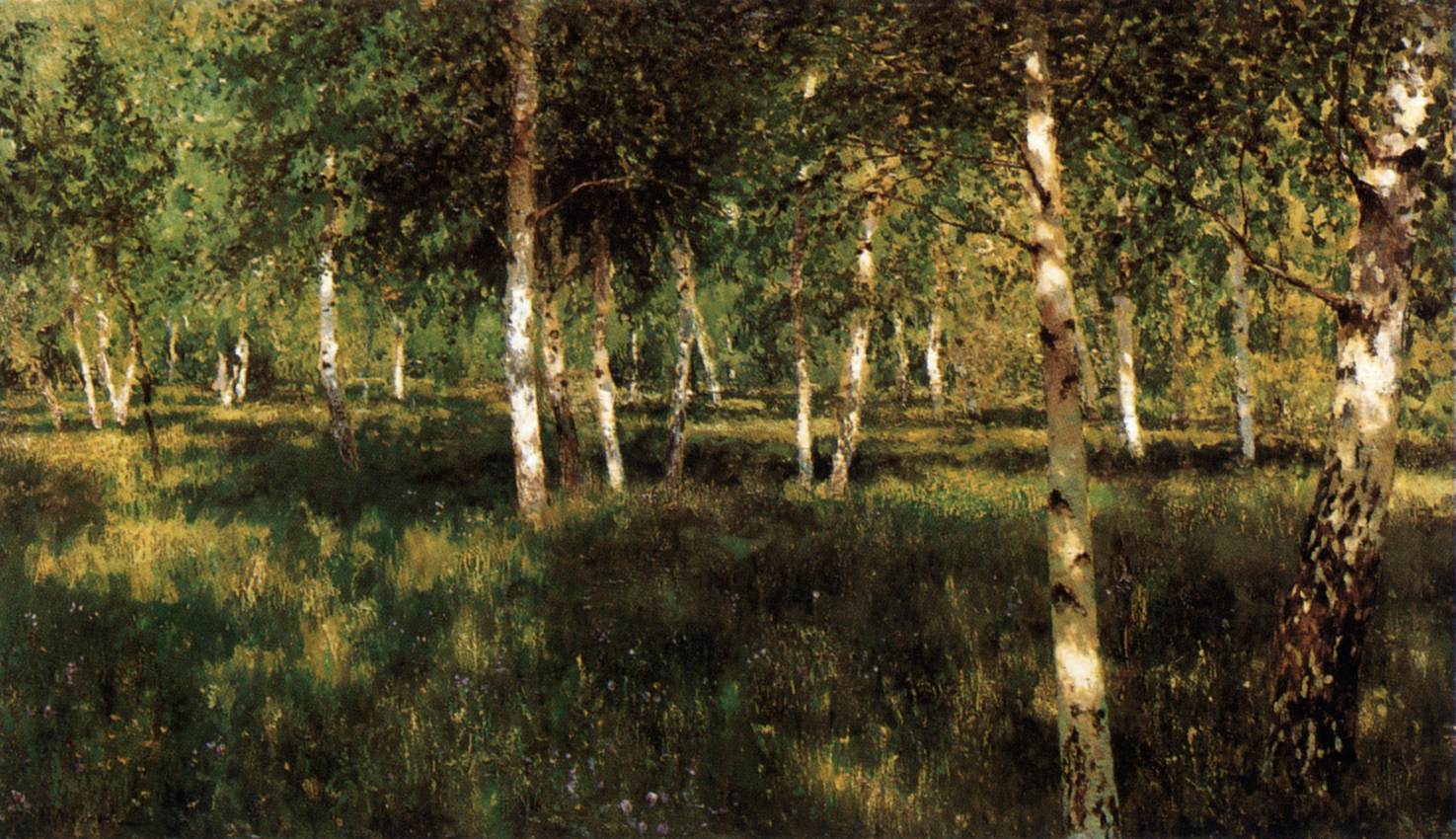 birch forest