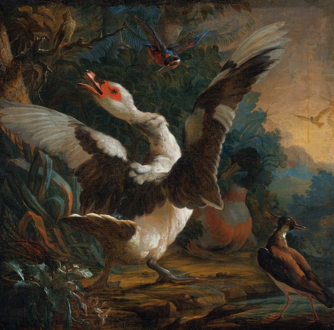 Vögel in einer Landschaft