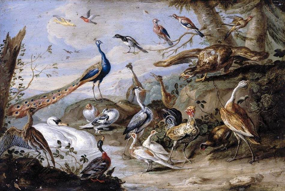 Oiseaux sur une rive de la rivière