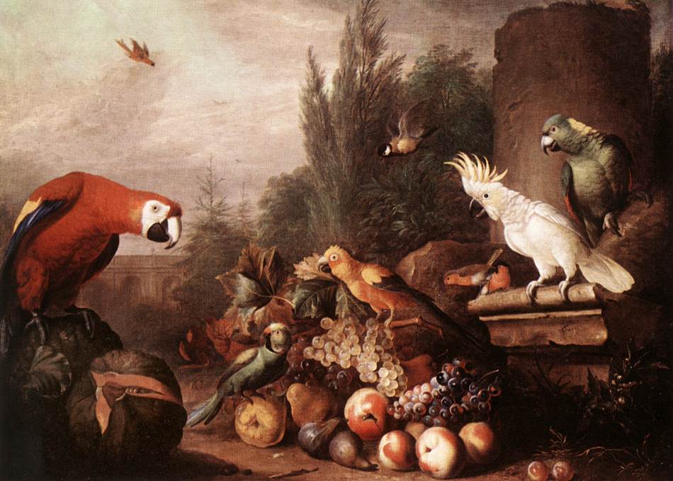 Birds Still Life