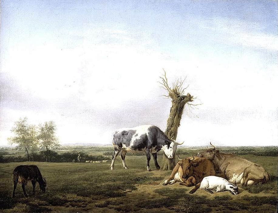 Gado e cabras em um prado