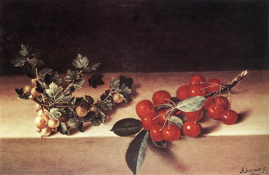 Kirsebær og rips ved et bord