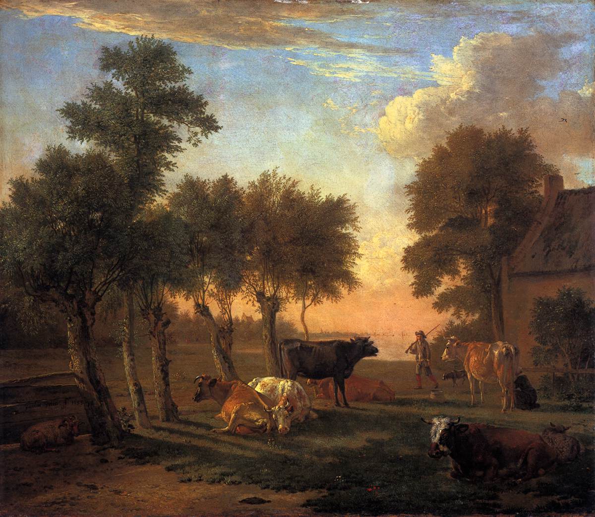 Cows in a Meadow of a Farm