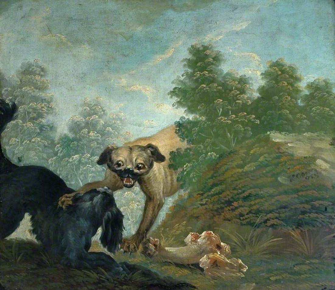 Dwa psy walczące obok kości
