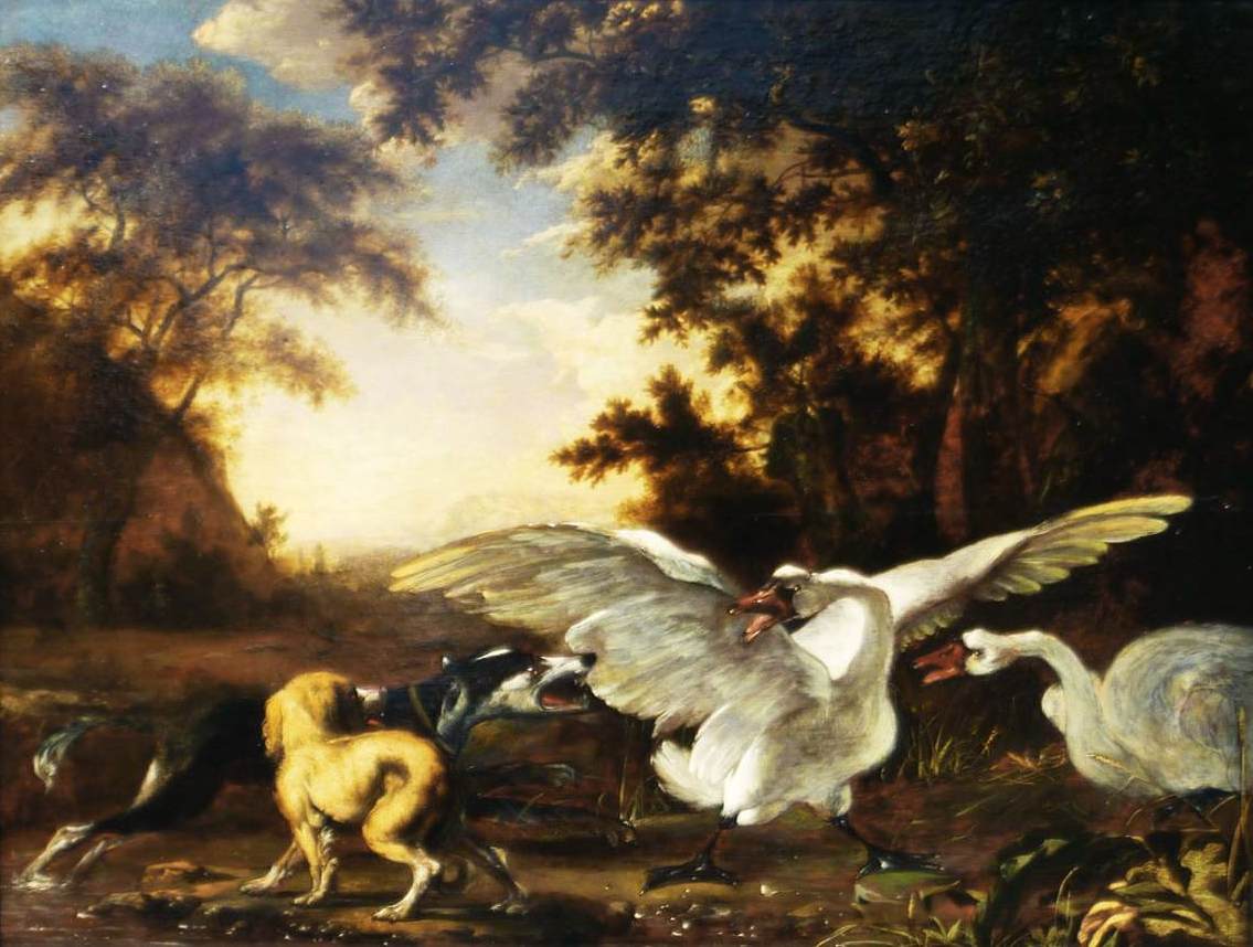 Two Dogs and Two Swans