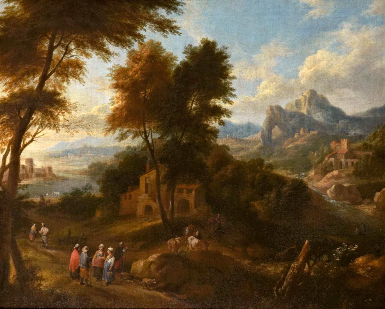 Extensive River Landscape