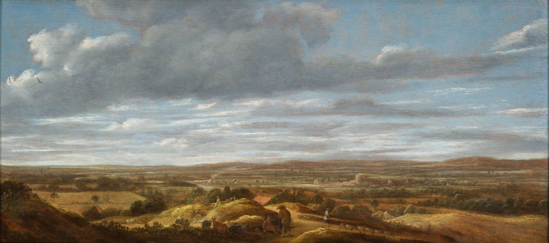 extensive landscape