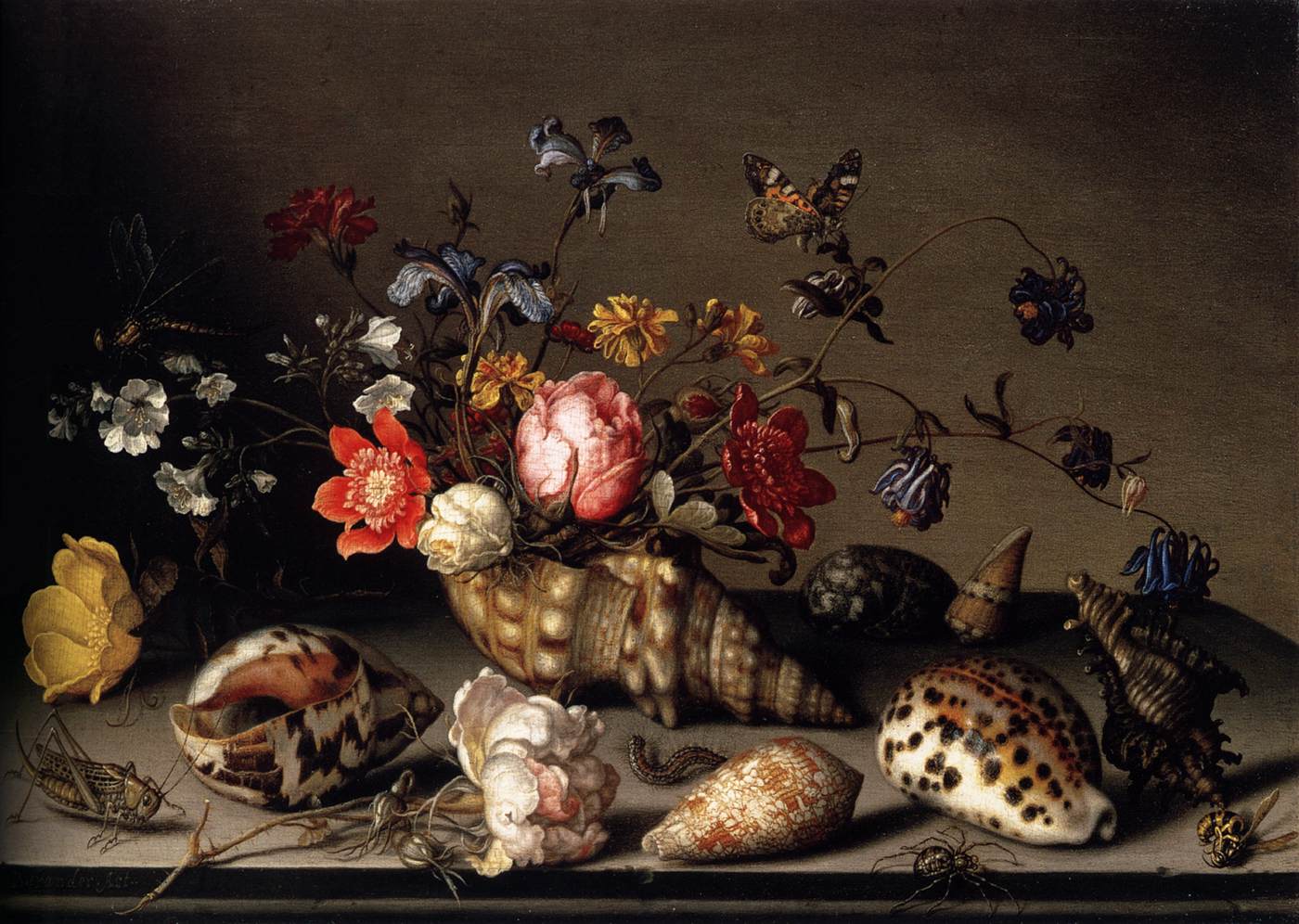 Still Life with Flowers, Shells and Insects